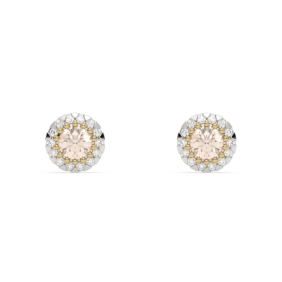 KOLCZYKI ZE-101501 MORY