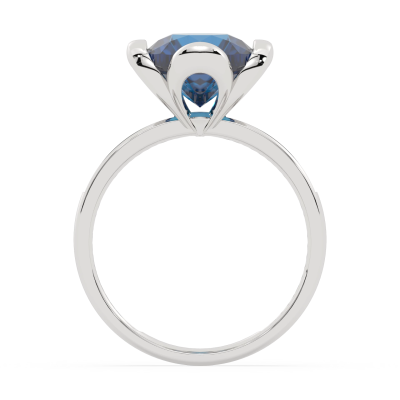 PIERŚCIONEK FR-12495904 LBTW